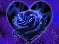 pic for rose blue